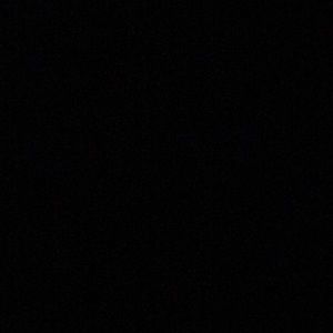 Meet your Posher, Daryl